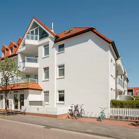 Seestern Norderney